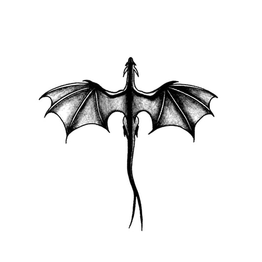 Wyvern | Dragon