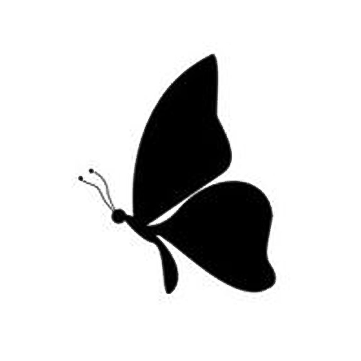 Whispering Wings | Butterfly