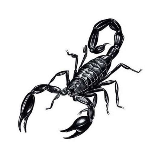 Scorpion